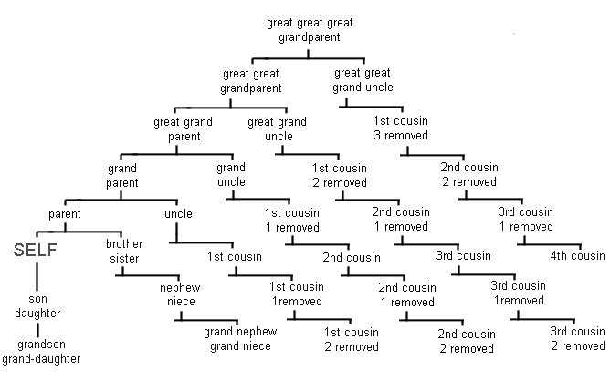 Chart Showing Family Relationships